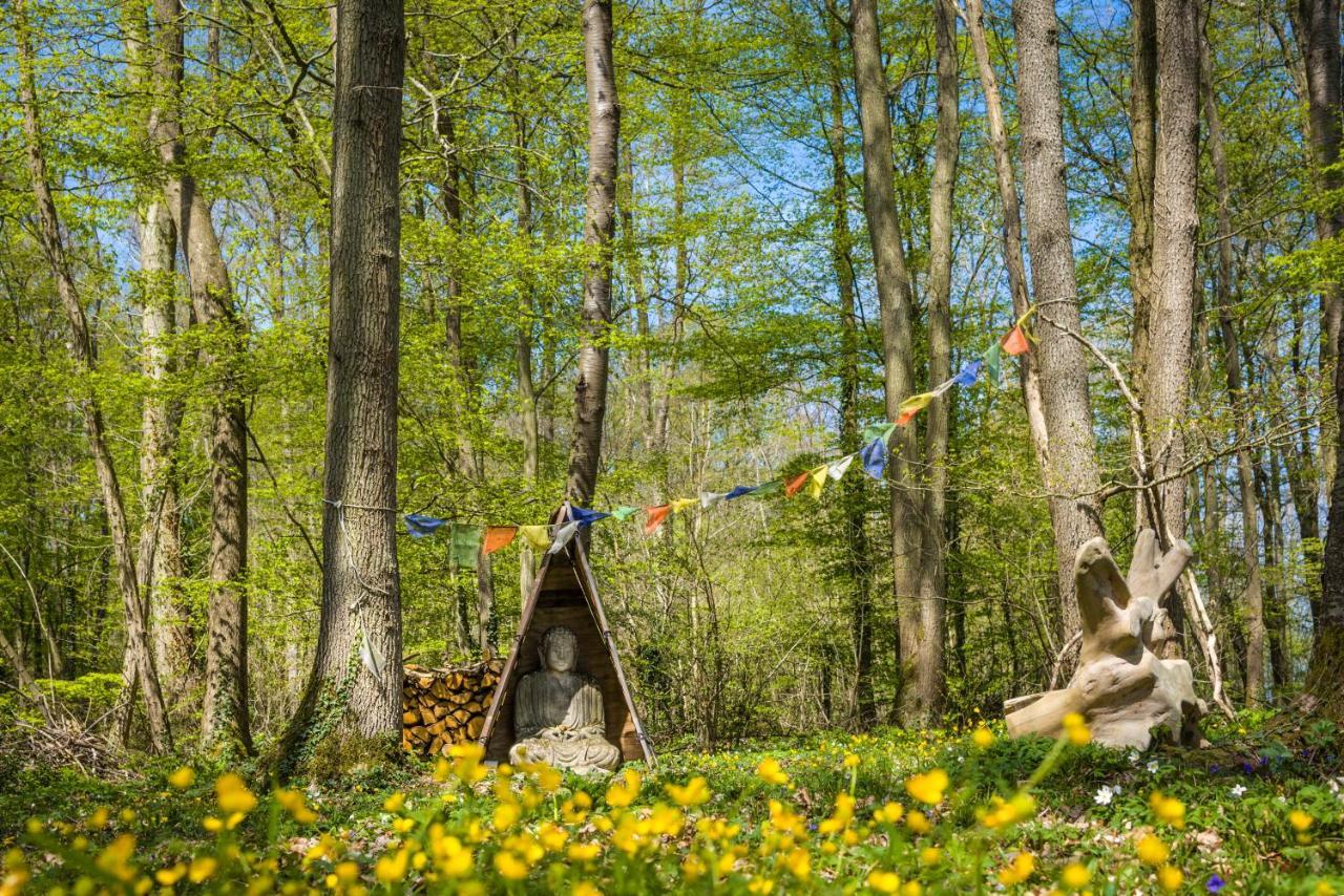 Gites Du Bois Des Perruches Saint-Vincent-des-Bois Экстерьер фото